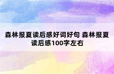 森林报夏读后感好词好句 森林报夏读后感100字左右